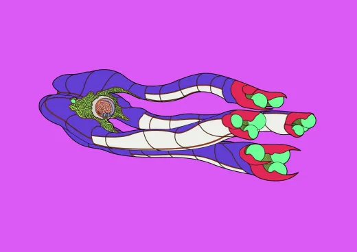 Glytarr Kraken, monster class, registry #0072